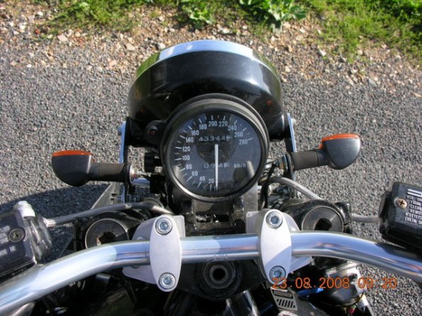GPX19